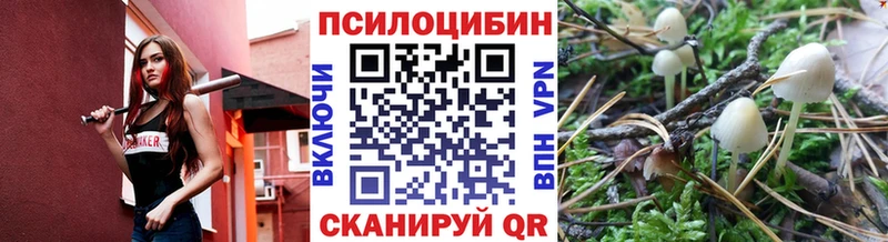 Галлюциногенные грибы прущие грибы закладки это формула Дигора