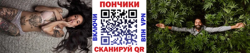 Бошки Шишки гибрид  купить закладку  Дигора 